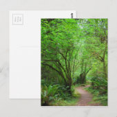 Trail in het mammoetbos briefkaart (Voorkant / Achterkant)