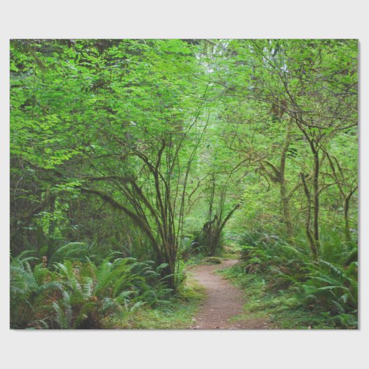 Trail in het mammoetbos cadeaupapier (Vlak)