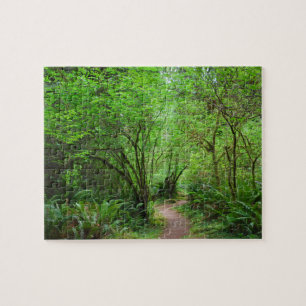 Trail in het mammoetbos legpuzzel