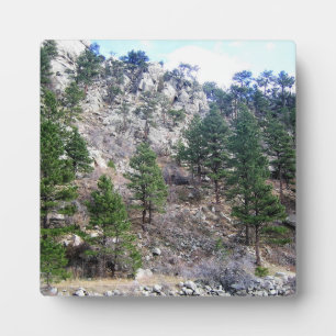 Trail in Jefferson County, Colorado Fotoplaat