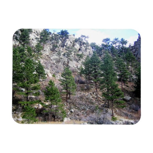 Trail in Jefferson County, Colorado Magneet (Horizontaal)