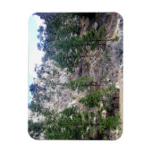 Trail in Jefferson County, Colorado Magneet (Verticaal)