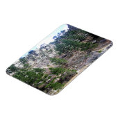 Trail in Jefferson County, Colorado Magneet (Linkerzijde)