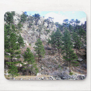 Trail in Jefferson County, Colorado Muismat