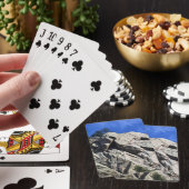 Trail in Jefferson County, Colorado Pokerkaarten (Insitu)