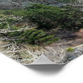 Trail in Jefferson County, Colorado Poster (Hoek)