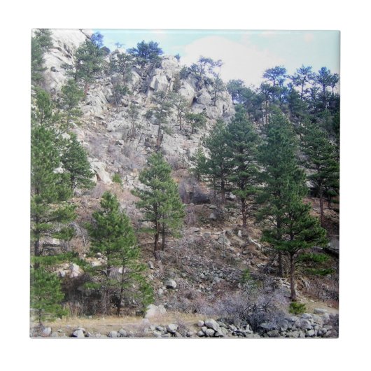 Trail in Jefferson County, Colorado Tegeltje (Voorkant)