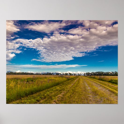 Trail in Kissimmee Prairie Preserve State Park, FL Poster (Voorkant)