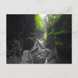 Trail in Watkins Glen, New York Briefkaart