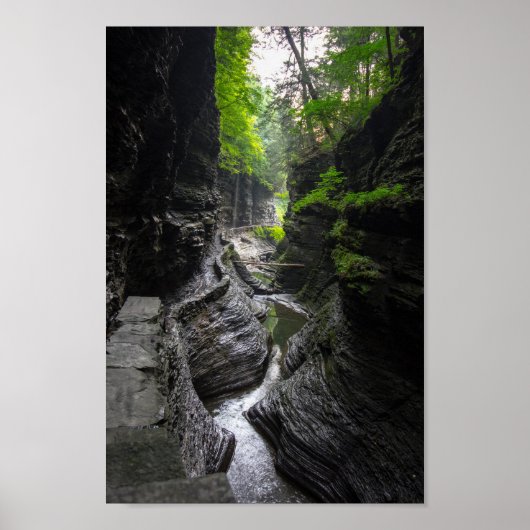 Trail in Watkins Glen, New York Poster (Voorkant)