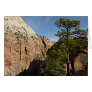Trail naar Angels Landing in Zion National Park