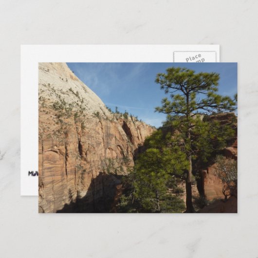 Trail naar Angels Landing in Zion National Park Briefkaart (Voorkant / Achterkant)