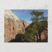 Trail naar Angels Landing in Zion National Park Briefkaart (Voorkant)