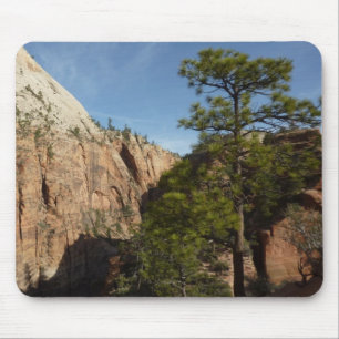 Trail naar Angels Landing in Zion National Park Muismat
