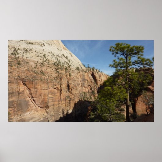Trail naar Angels Landing in Zion National Park Poster (Voorkant)