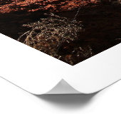 Trail naar Bell Rock Poster (Hoek)