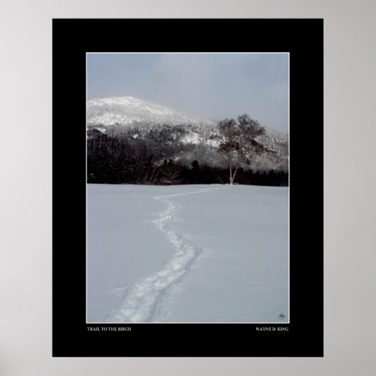 Trail naar Birch in Winter Color Poster (Voorkant)