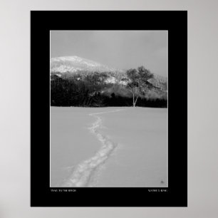 Trail naar een berk in de winter (monochroom) poster