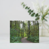 Trail naar Marymere Falls I Briefkaart (Staand voorkant)