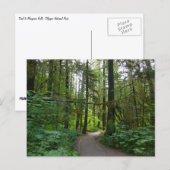 Trail naar Marymere Falls I Briefkaart (Voorkant / Achterkant)