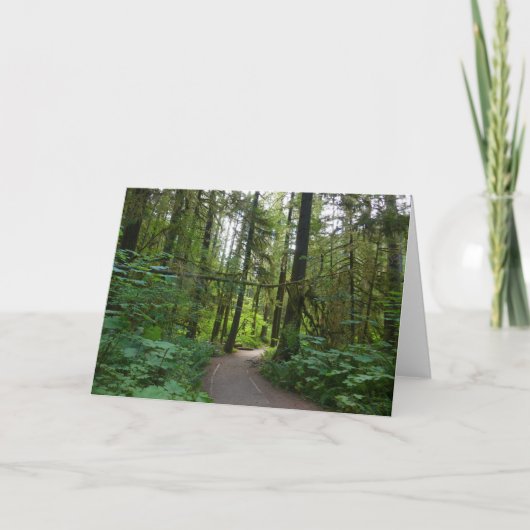 Trail naar Marymere Falls I Kaart (Voorkant)