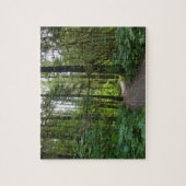 Trail naar Marymere Falls I Legpuzzel (Verticaal)