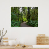 Trail naar Marymere Falls I Poster (Keuken)