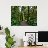 Trail naar Marymere Falls I Poster (Thuiskantoor)
