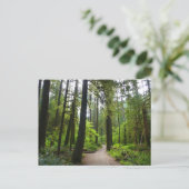 Trail naar Marymere Falls II Briefkaart (Staand voorkant)