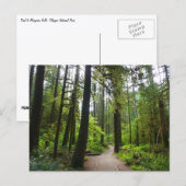 Trail naar Marymere Falls II Briefkaart (Voorkant / Achterkant)