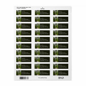 Trail naar Marymere Falls II Etiket (Full Sheet)