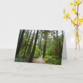 Trail naar Marymere Falls II Kaart (Gele Bloem)