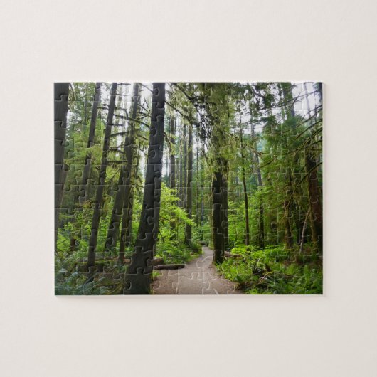 Trail naar Marymere Falls II Legpuzzel (Horizontaal)