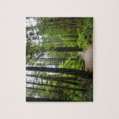 Trail naar Marymere Falls II Legpuzzel (Verticaal)