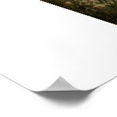 Trail naar Morgan Pass. Hoge Sierra Poster (Hoek)