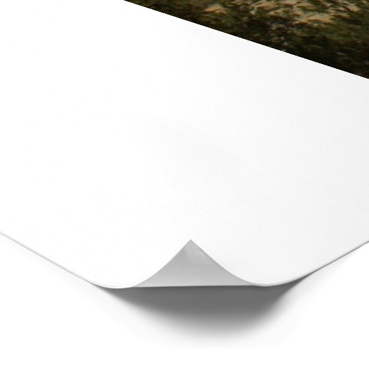 Trail naar Morgan Pass. Hoge Sierra Poster (Hoek)