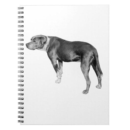Trail Notes, Steady Heart Notitieboek (Voorkant)