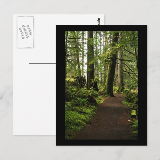 Trail onder Giants Briefkaart (Voorkant / Achterkant)