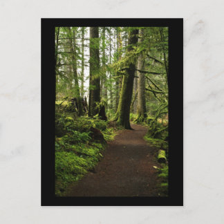 Trail onder Giants Briefkaart