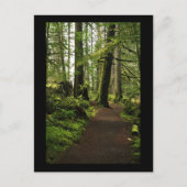 Trail onder Giants Briefkaart (Voorkant)