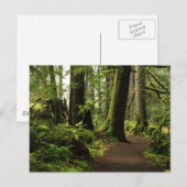 Trail onder Giants Briefkaart (Voorkant / Achterkant)