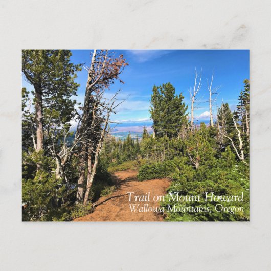 Trail op Mount Howard, OF Briefkaart (Voorkant)