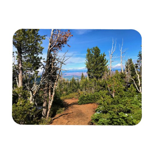 Trail op Mount Howard, OF Magneet (Horizontaal)