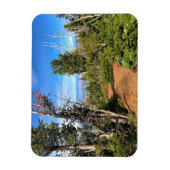 Trail op Mount Howard, OF Magneet (Verticaal)