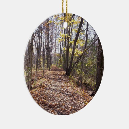 Trail Ornament (Rechts)