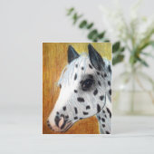 "Trail Ride" Appallosa Horse Briefkaart (Staand voorkant)
