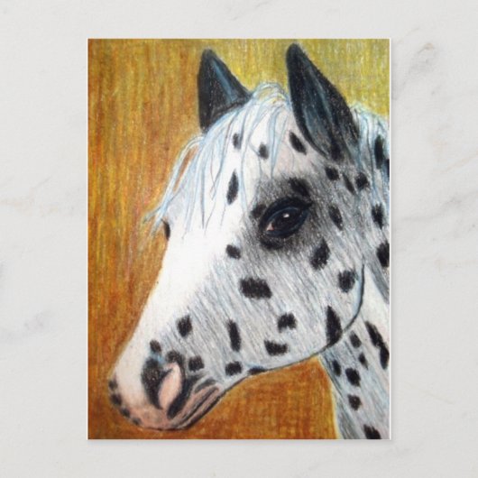 "Trail Ride" Appallosa Horse Briefkaart (Voorkant)