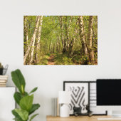 Trail Through Birches Poster (Thuiskantoor)