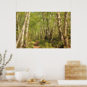 Trail Through Birches Poster (Keuken)