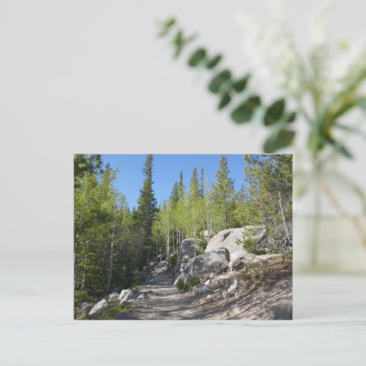 Trail to Alberta Falls Briefkaart (Staand voorkant)